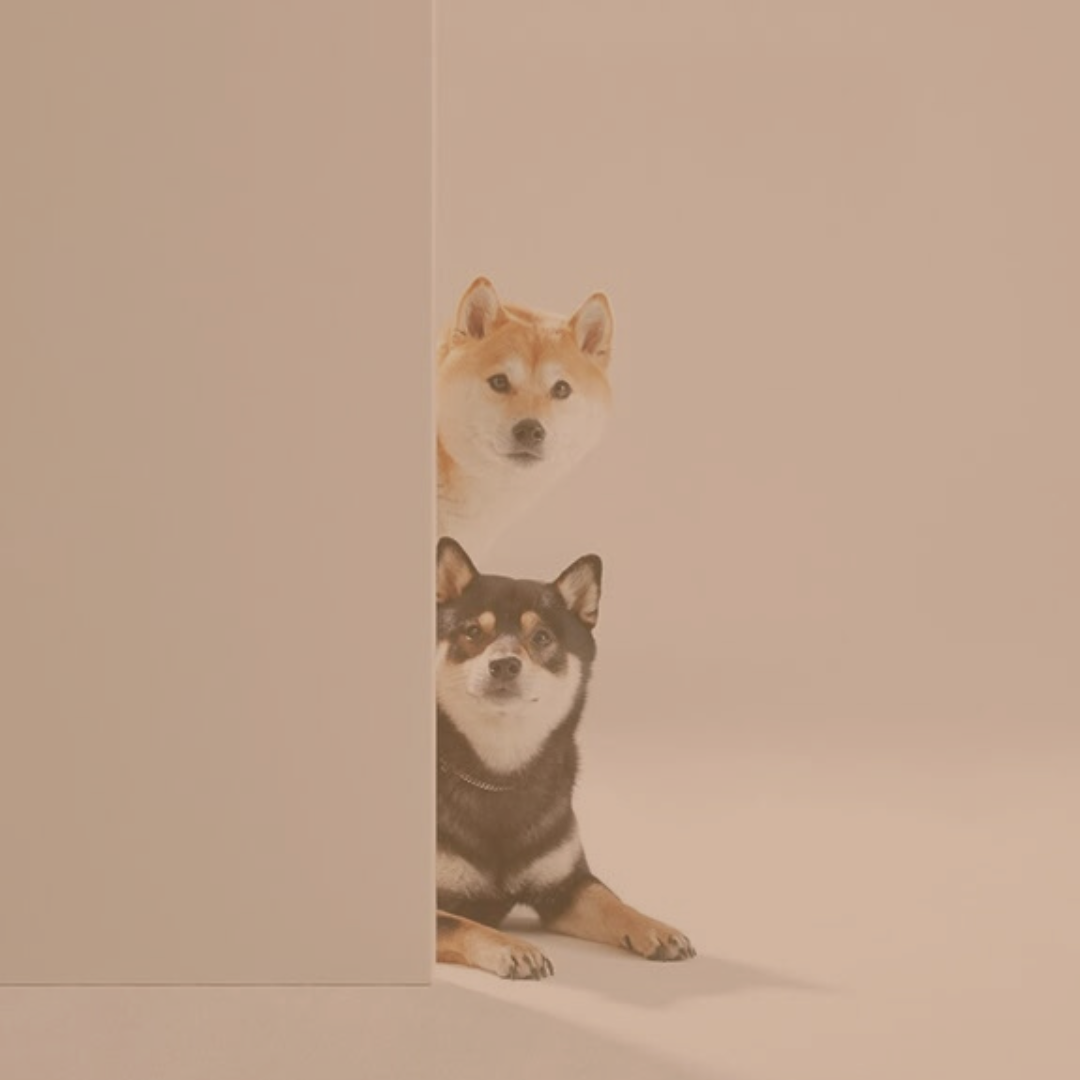 Pets